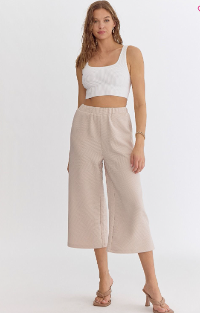 Textured Wide Leg Pants - Light Taupe - Regular & Plus Sizes