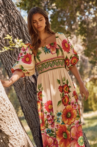 Floral Border Printed Maxi Dress - Ecru Multi